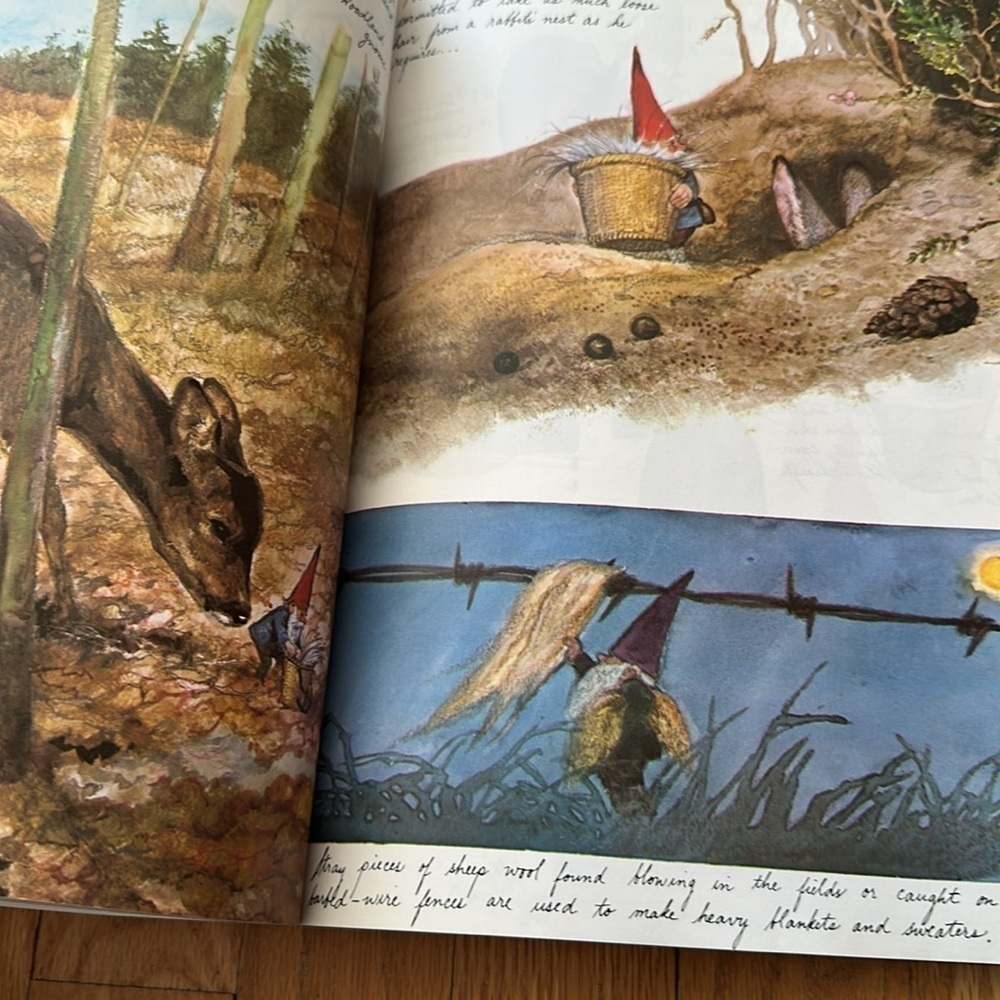 Vintage Gnome book copyright 1976 first page damage but otherwise good condition - Picture 4 of 6